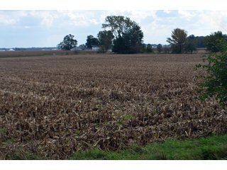 Property photo 20 - EHLE FARMS AUCTION - 118+/- ACRES IN 9 TRACTS IN ALLEN COUNTY, INDIANA